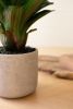 ARTIFICIAL SUCCULENT PLANT IN A CERAMIC POT